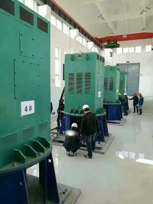 YRKK7103-6某污水处理厂使用我厂的立式高压电机安装现场