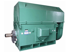 YRKK7103-6Y系列6KV高压电机