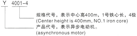 西安泰富西玛Y系列(H355-1000)高压YRKK7103-6三相异步电机型号说明