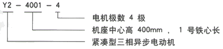 YR系列(H355-1000)高压YRKK7103-6三相异步电机西安西玛电机型号说明